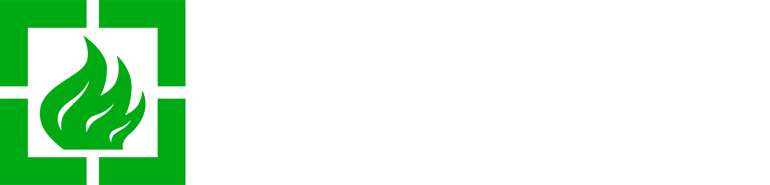 InfraBuild Steel