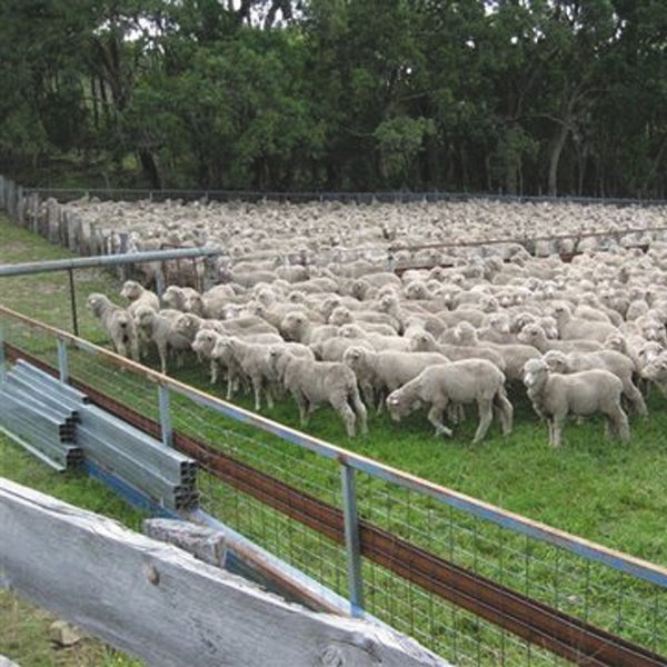 IRONBARK® Stockyard Reinforcing Mesh Range