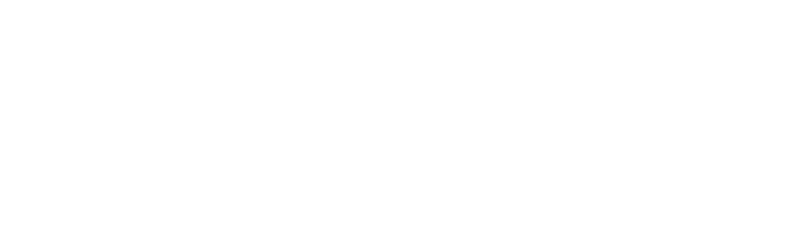 SS_LOGO_Horizontal_reversed_RGB-720x218