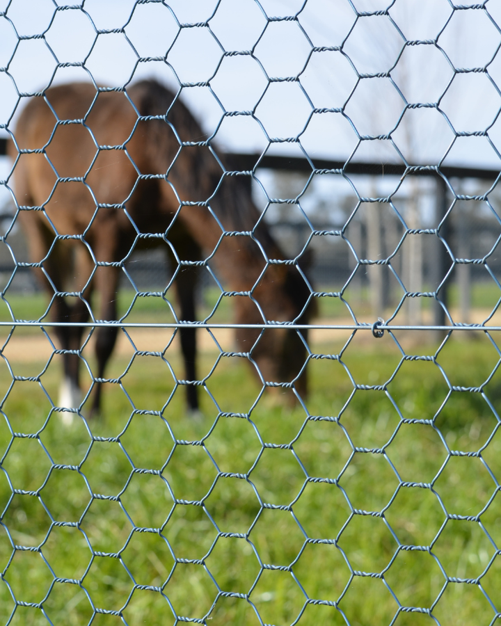 Looking for steel or fencing for your property